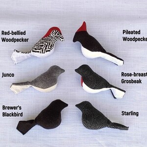 May include: A set of ten handmade felt bird ornaments, each with a different bird species and name. The birds are black, white, gray, and red with black and white patterns.