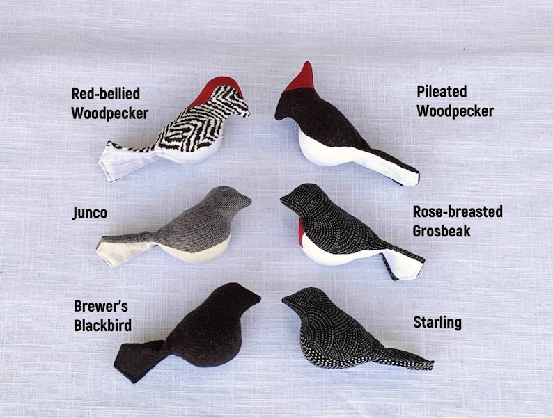 May include: A set of ten handmade felt bird ornaments, each with a different bird species and name. The birds are black, white, gray, and red with black and white patterns.