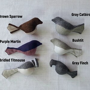 May include: Six handmade felt bird ornaments in various colors and patterns. The birds are labeled with their names: Brown Sparrow, Gray Catbird, Purple Martin, Bushtit, Bridled Titmouse, and Grey Finch.