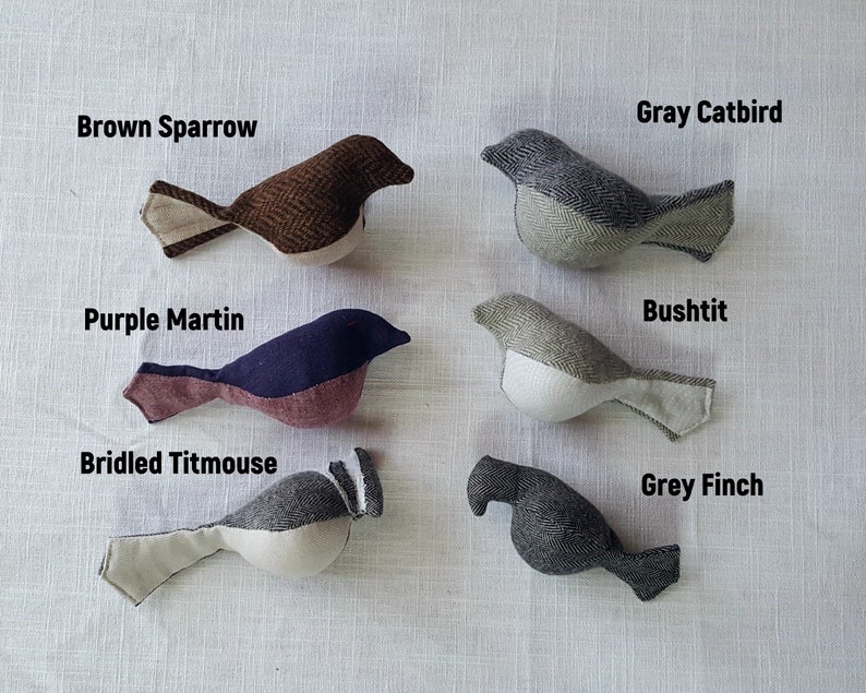 May include: Six handmade felt bird ornaments in various colors and patterns. The birds are labeled with their names: Brown Sparrow, Gray Catbird, Purple Martin, Bushtit, Bridled Titmouse, and Grey Finch.
