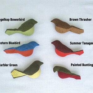 May include: Six handmade felt bird ornaments, each with a different color and pattern. The birds are labeled with their names: Vogelkop Bowerbird, Brown Thrasher, Eastern Bluebird, Summer Tanager, Warbler Green, and Painted Bunting.