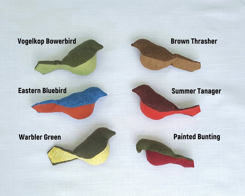 May include: Six handmade felt bird ornaments, each with a different color and pattern. The birds are labeled with their names: Vogelkop Bowerbird, Brown Thrasher, Eastern Bluebird, Summer Tanager, Warbler Green, and Painted Bunting.