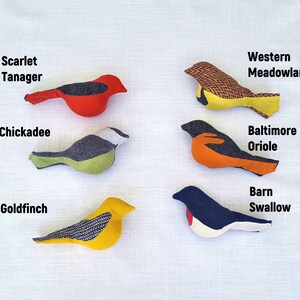 May include: Six felt bird toys with different colors and patterns. The birds are labeled with their names: Scarlet Tanager, Chickadee, Goldfinch, Western Meadowlark, Baltimore Oriole, and Barn Swallow.