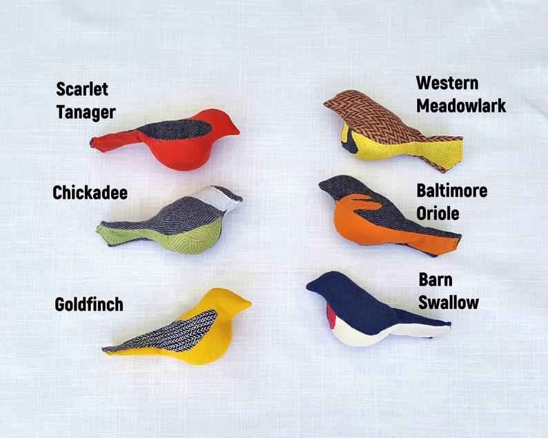 May include: Six felt bird toys with different colors and patterns. The birds are labeled with their names: Scarlet Tanager, Chickadee, Goldfinch, Western Meadowlark, Baltimore Oriole, and Barn Swallow.