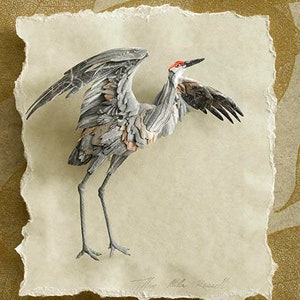 Blank Card - 'Raising Wings' - Sandhill Crane Paper Sculpture, Print