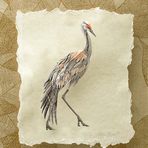 Blank Card - 'Grace' - Sandhill Crane Paper Sculpture, Print