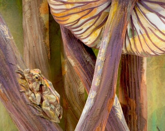 Blank Card - 'Anuran Cathedrals' - Frog and Mushroom Paper Sculpture, Print