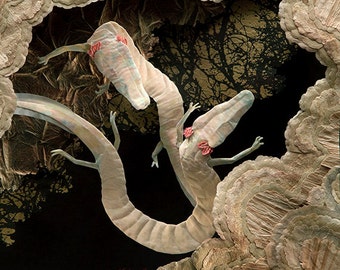 Blank card - 'Dragons in Darkness' - Cave Salamander Paper Sculpture, Print