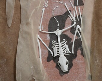 Blank Card  -  'Time Stands Still for Me' - Bat Skeleton Paper Sculpture, Print