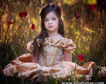 Classic Belle Princess Gown Costume in Gold