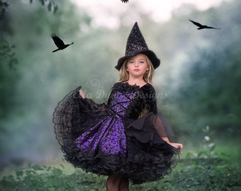 May include: A black and purple dress featuring a lace-up bodice, a full skirt with black lace ruffles, and long sheer sleeves. The outfit includes a pointed black hat with a subtle shimmer. The dress has a velvet-like texture on the bodice.