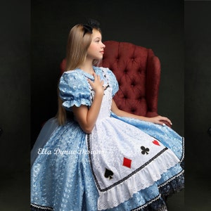 NEW Alice in Wonderland Dress & Apron