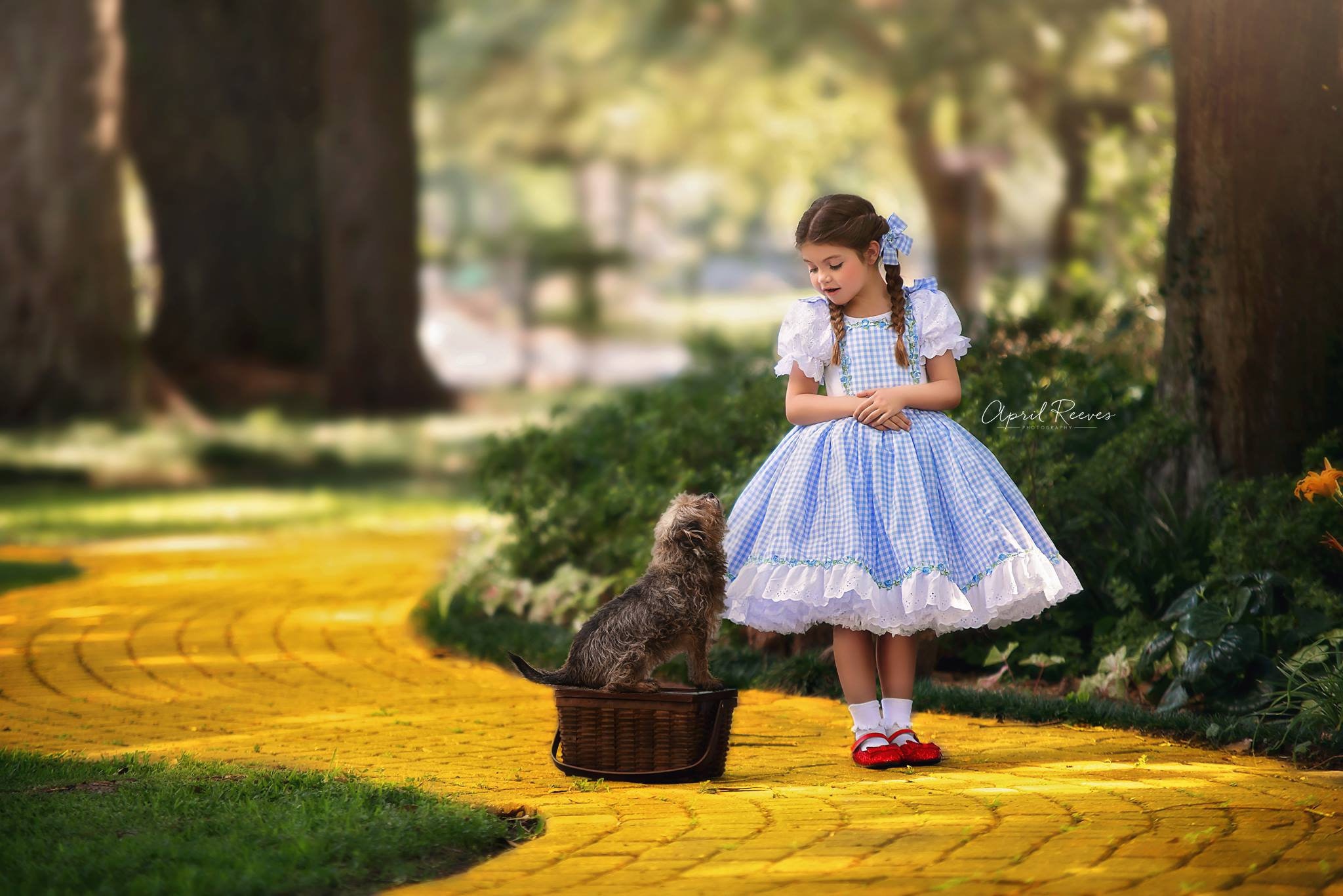 Dorothy Costume Judy Garland Wizard of Oz Inspired Dress Etsy UK