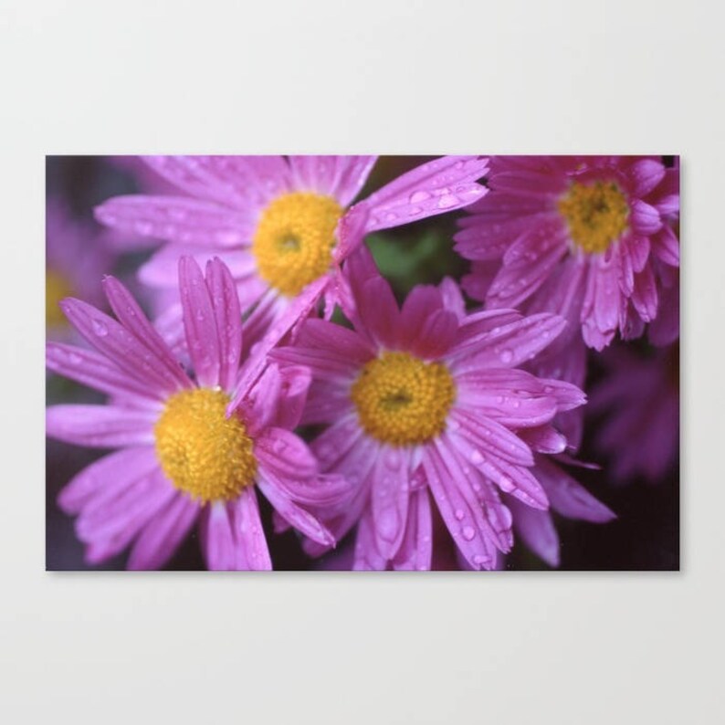 Purple Flower Bath Mat Shower Mat Bathroom Mat Made to Etsy