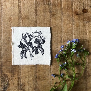 May include: A black and white line drawing of a flower on a white piece of paper. The paper is on a wooden surface. There are blue flowers in the background.