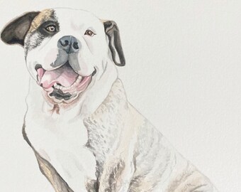 Custom Pet Portrait: Original Pen and Ink Drawing