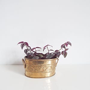 Vintage Ornate Brass Planter with Handles - Patina Brassware