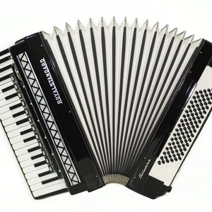 Royal Standard Silvana Accordion made in Germany 96 Bass Concert Piano Acordeon for Adults 2236 New Straps, Case Beautiful Quality Sound image 2