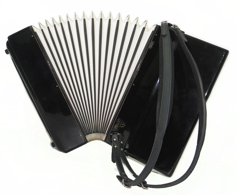 Royal Standard Silvana Accordion made in Germany 96 Bass Concert Piano Acordeon for Adults 2236 New Straps, Case Beautiful Quality Sound image 6