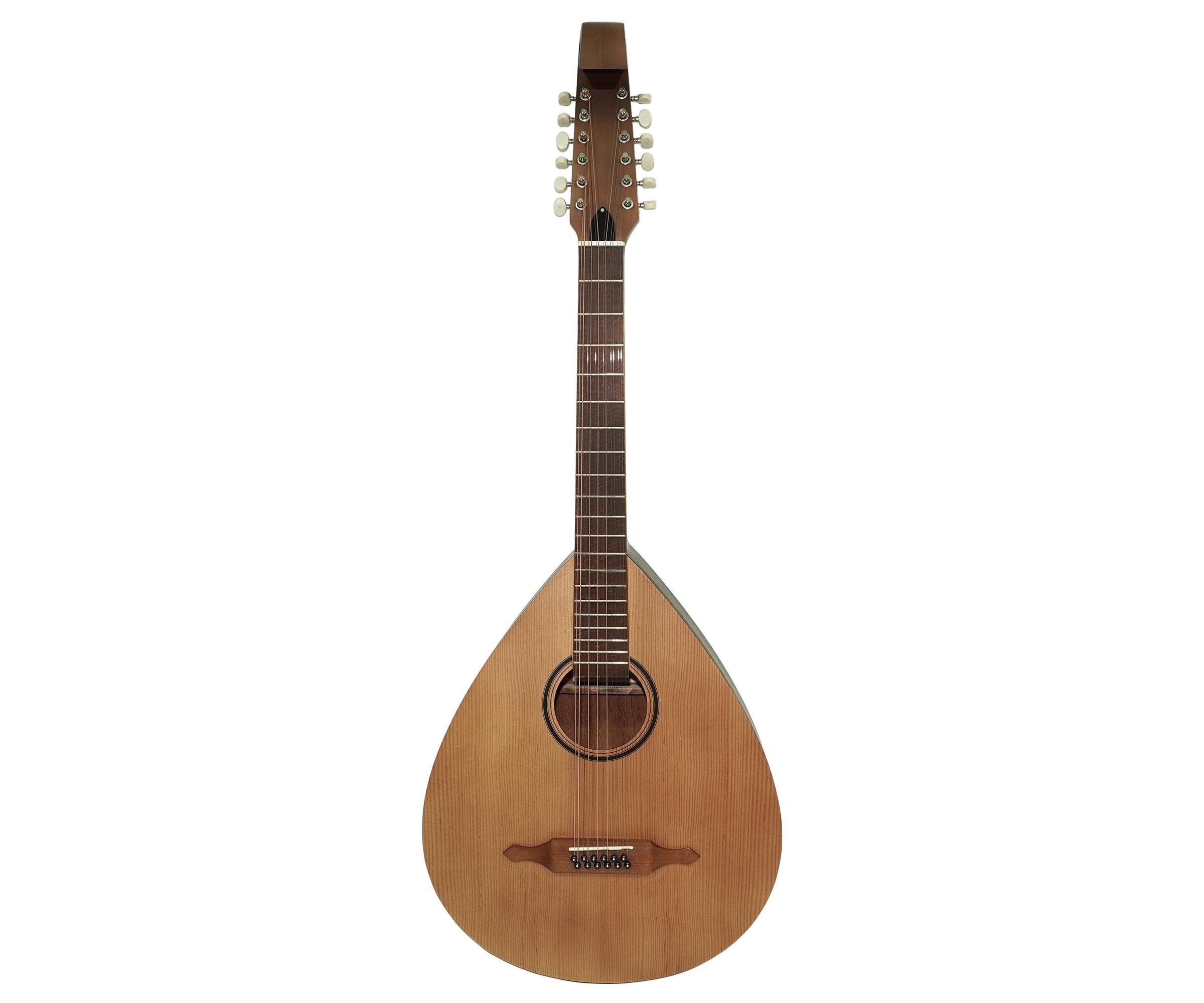 Kobza Lute Acoustic Guitar 12 Strings, Folk Musical Instrument Vihuela, made in Ukraine, Natural Wood Handmade, Very Beautiful sound