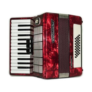 Weltmeister Accordion 40 Bass - Etsy