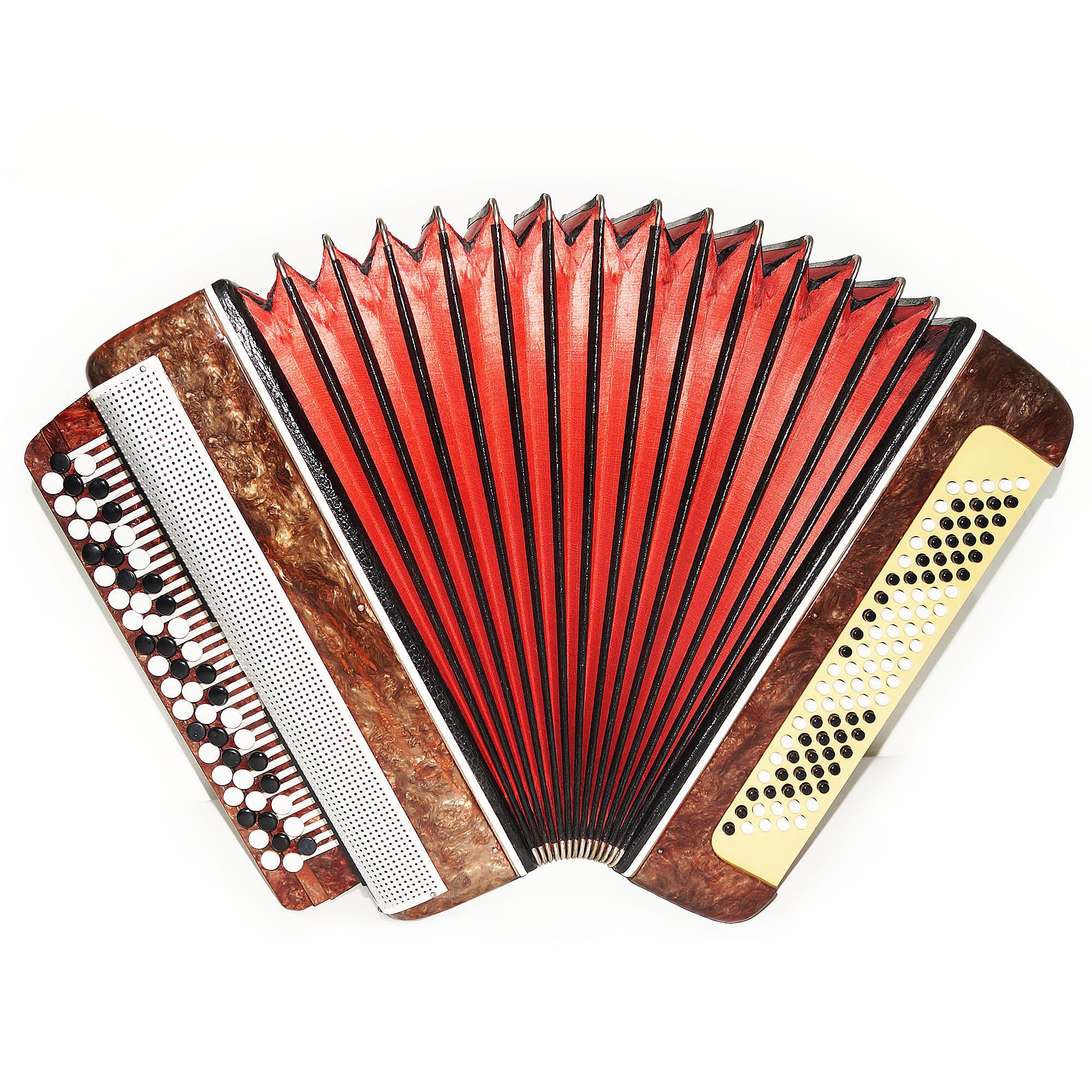 Harmony accordion deals