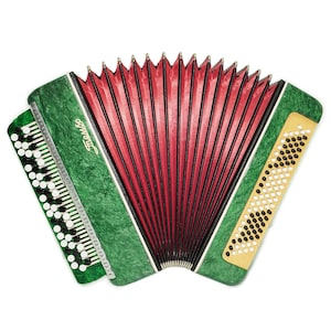 Russian Bayan Tembr, Button Accordion Instrument, 100 Bass Buttons, New Straps and Soft Case for Gift, Concertina Stradella B System