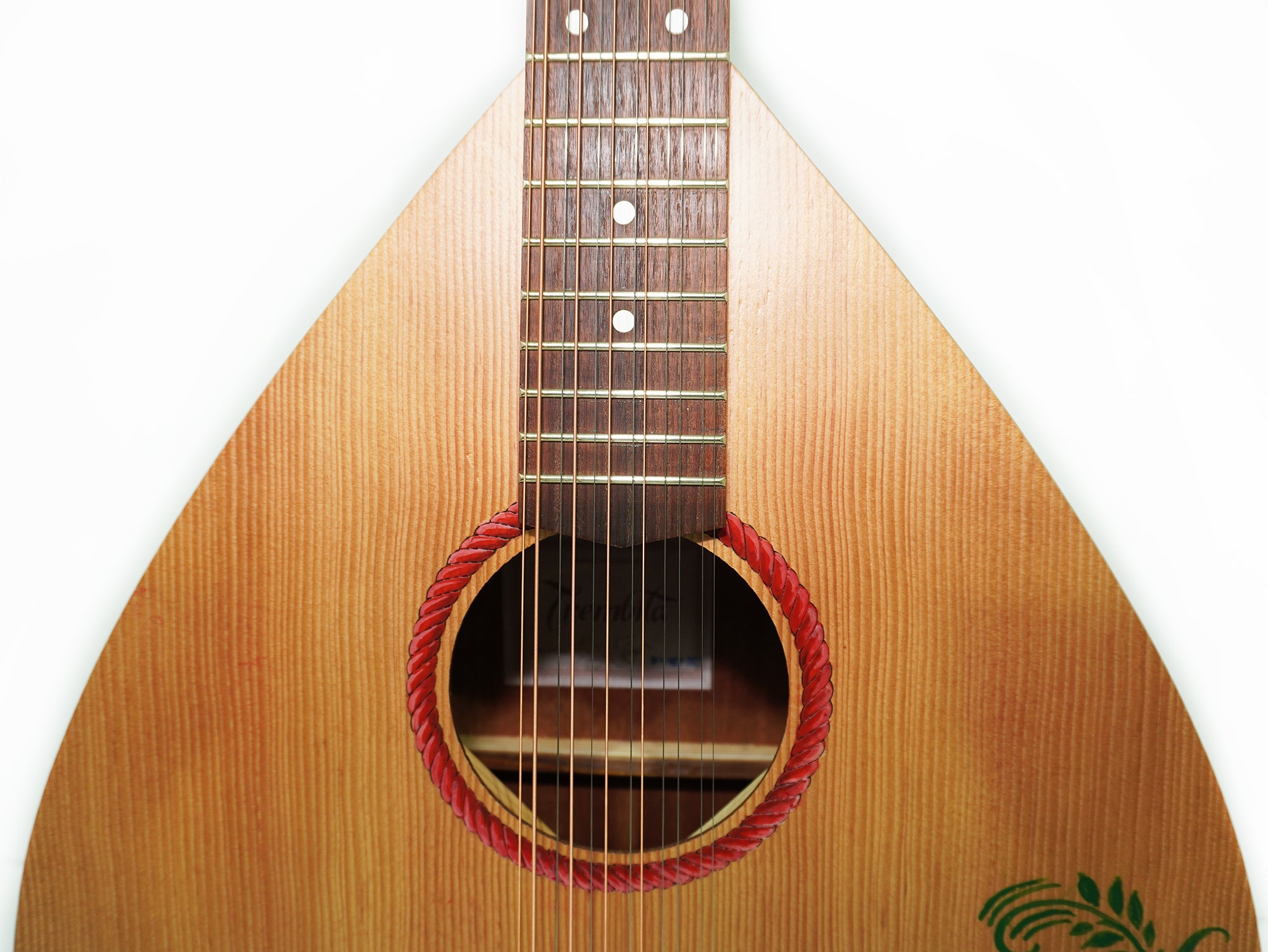 12 string lute guitar outlet