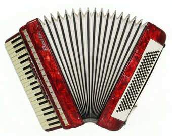 Cinghie Per Fisarmonica In PU - Spallacci Regolabili Per Fisarmonica 16-120 Bassi - Foto 5