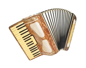 Piano Accordion Octava, made in Russia 80 Bass Buttons, New Straps, Hard Case, Accordian for Beginners Children for Study