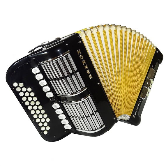 Hohner Accordion Close to New! Hohner Ouverture V Diatonic