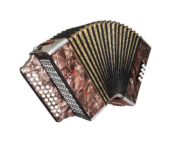 Hohner Accordion, Old Vintage Hohner Club II Diatonic Button