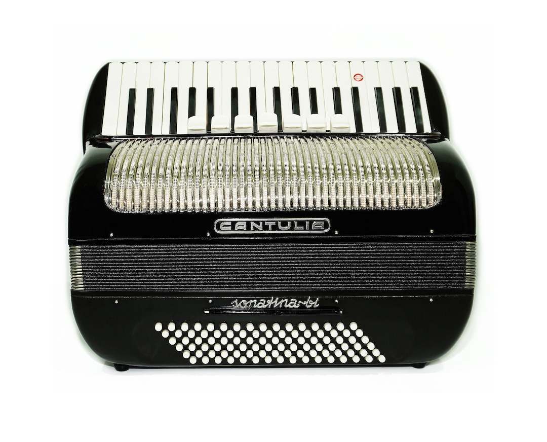 ヴィンテージ トイ アコーディオン イタリー製 楽器 ヴィンテージ トイ