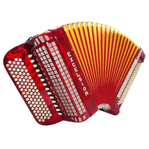 Perfect Excelsior 120 Bass Button Accordion, made in Italy, C System, Double Cassotto, Straps and Hard Case, Professional Accordian