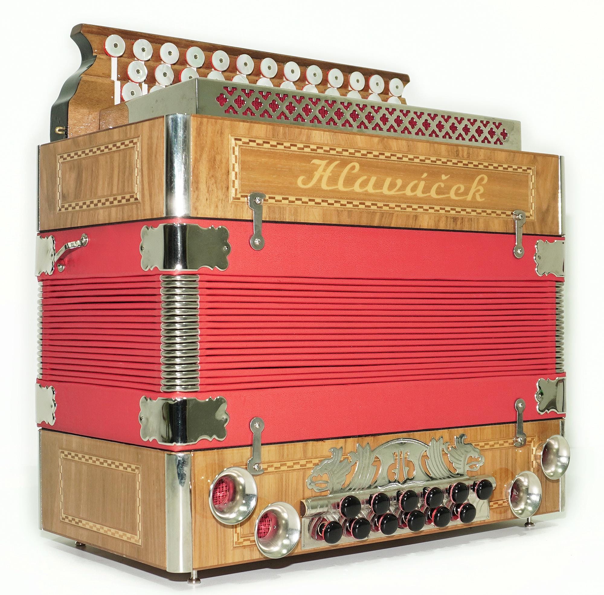 Close to New! Hlavacek Unique Diatonic Harmonica Button Accordion