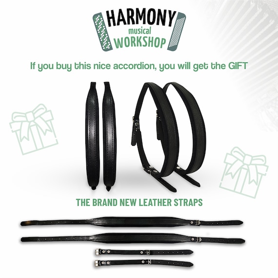 ヴィンテージ バヤン ボタン アコーディオン、3 列フォーク ロシア