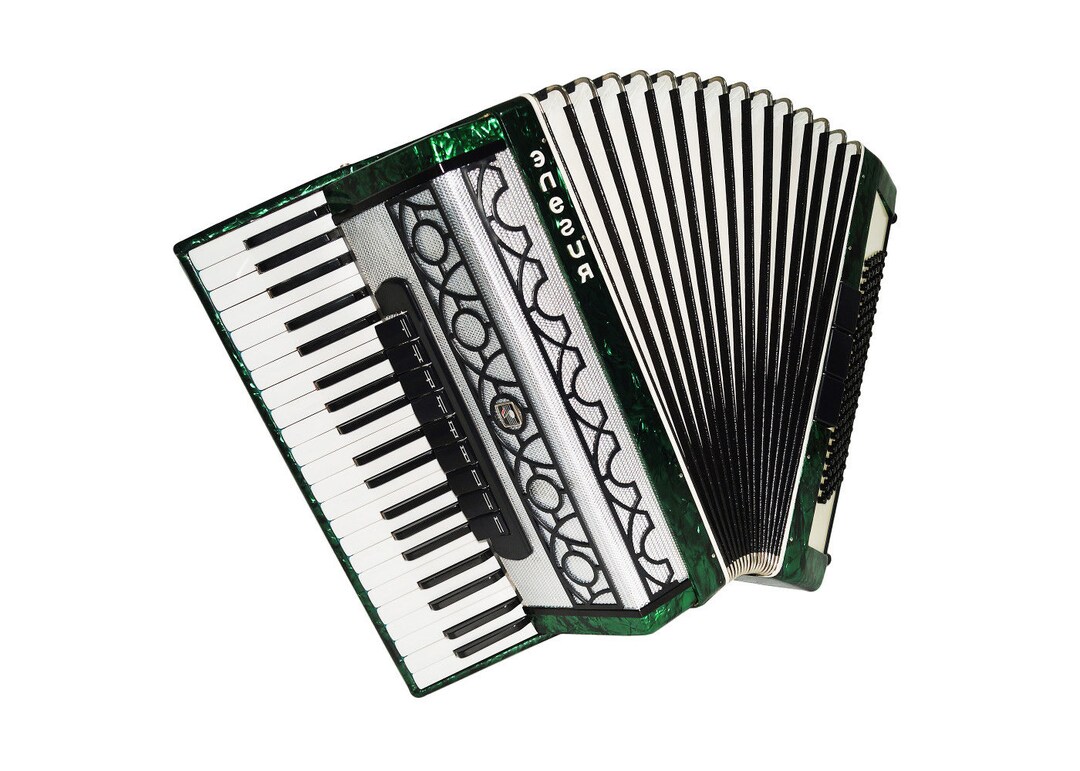 Full Size Piano Accordion for Adults 120 Bass Buttons Made in Etsy