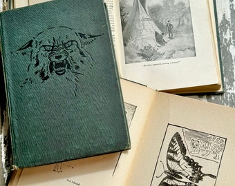 Antique Book Ernest Thompson Seton 1922 set of 3 Two Little Savages Woodland Tales Wild Animal Ways