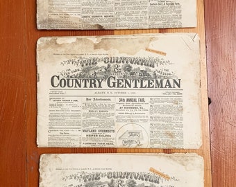 1896 the Cultivator & Country Gentleman Newspaper. Farmhouse Salvage. Pick one (or more)