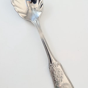 May include: A silver serving spoon with a shell-shaped bowl and a decorative handle. The handle features an engraved floral and bird design. The spoon is made of a shiny, reflective metal and is set against a white background.