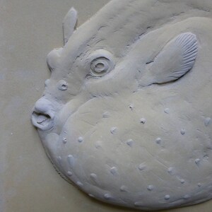 Puffer Fish 6 x 6 Inch Concrete Bas Relief Blue Decorative Art Tile Small Sculpture image 3