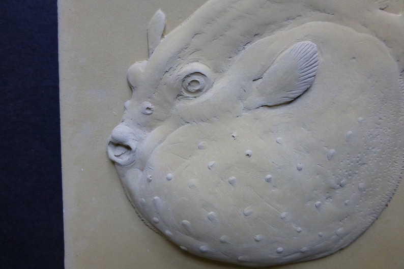 Puffer Fish 6 x 6 Inch Concrete Bas Relief Blue Decorative Art Tile Small Sculpture image 3