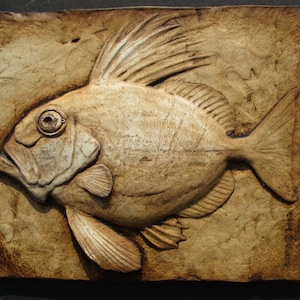 John Dory Fish Concrete French Provincial Style Kitchen Decor Art Tile