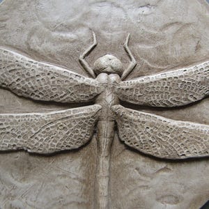 Libelle 15 cm Betonfliese Bild 7