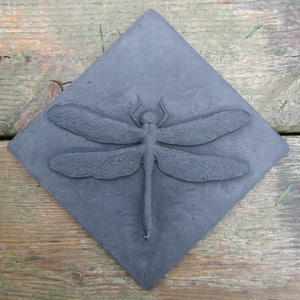 Libelle 15 cm Betonfliese Bild 4