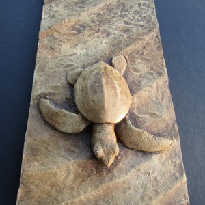 Sea Turtle Hatchling Concrete Art Tile Wall Sculpture image 5