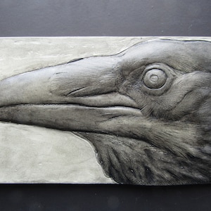 May include: A close-up of a black and white sculpted raven head. The raven's eye is visible and the feathers are detailed.