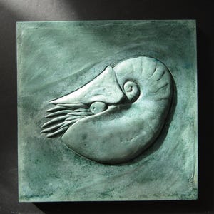 Nautilus Concrete Custom Art Tile
