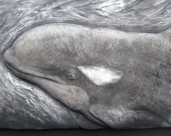 Orca Whale Relief Sculpture