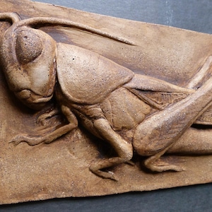 May include: A brown ceramic wall sculpture of a grasshopper. The grasshopper is in a resting position with its legs folded underneath its body. The sculpture is detailed with textured wings and a realistic head.